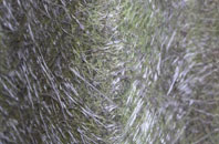 Great Gate fibreglass roof work